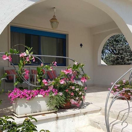 Casa Maresole Vila Mattinata Exterior foto