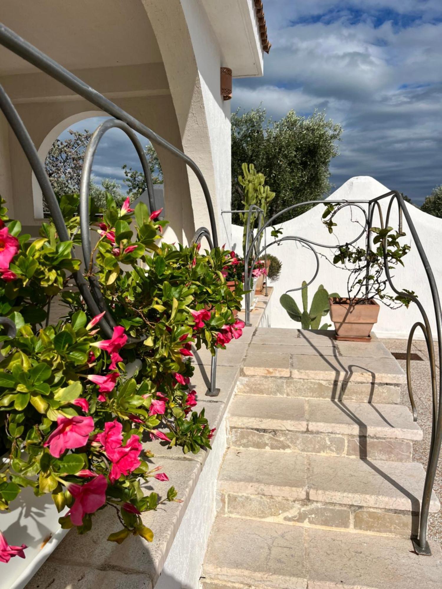 Casa Maresole Vila Mattinata Exterior foto